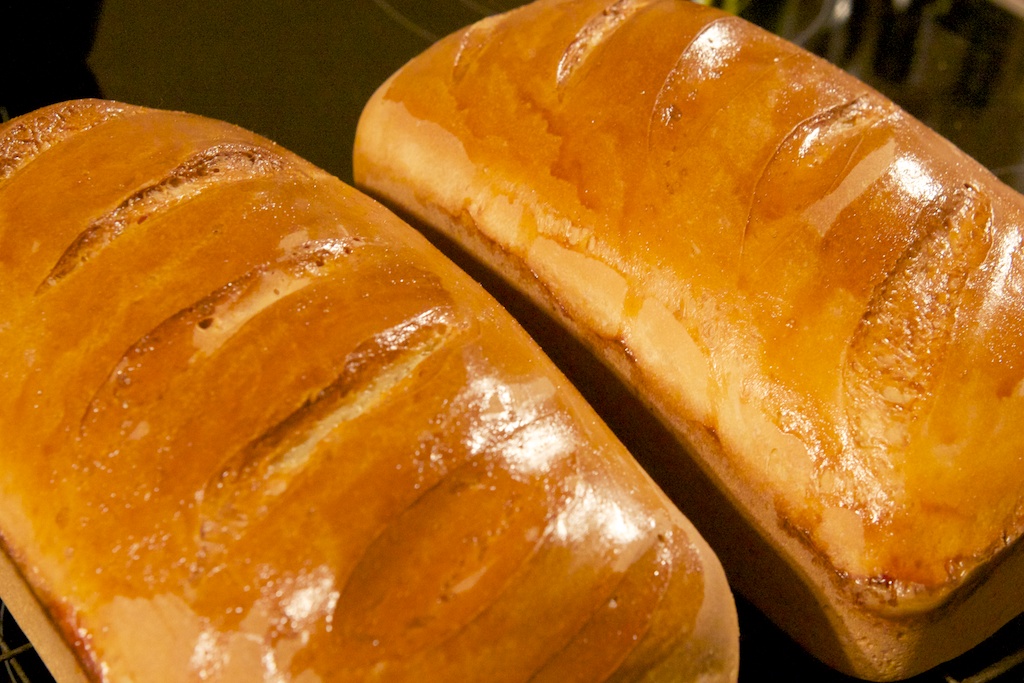 Sourdough Loaves